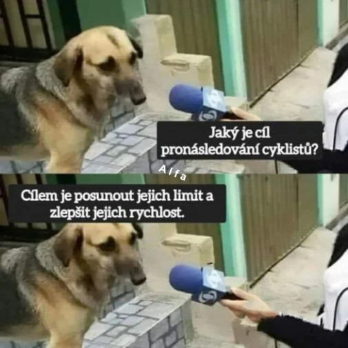 Motivátor