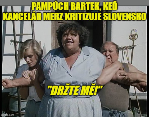 Príspevok 223414